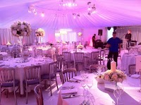 Stunning Events by Linda Abrahams 1102453 Image 0